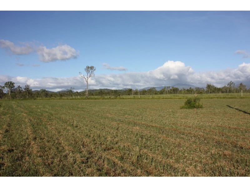 Mareeba QLD 4880