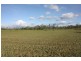 Mareeba QLD 4880