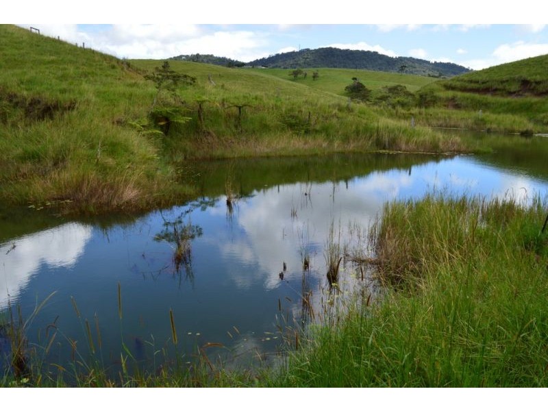 Upper Barron QLD 4883