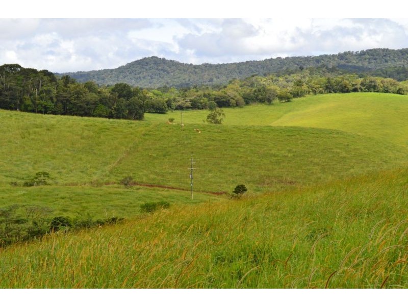 Upper Barron QLD 4883