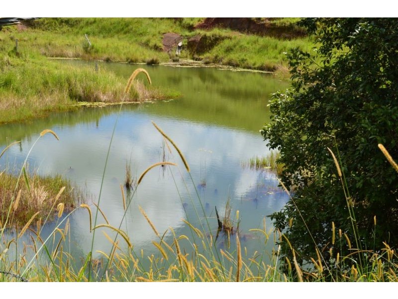 Upper Barron QLD 4883