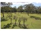 Mount Molloy QLD 4871