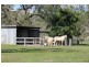 Mount Molloy QLD 4871
