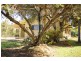 27 Kearney, Mareeba QLD 4880