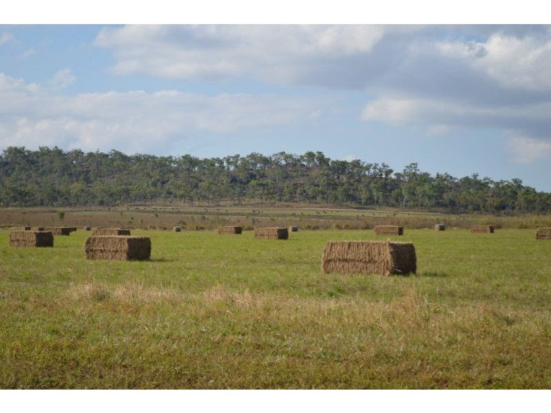 Mareeba QLD 4880