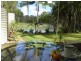 Kuranda QLD 4881