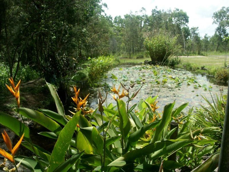 Kuranda QLD 4881