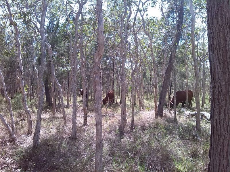 Biboohra QLD 4880