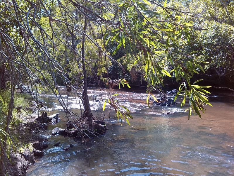 Biboohra QLD 4880