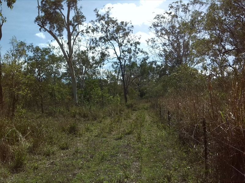 Biboohra QLD 4880