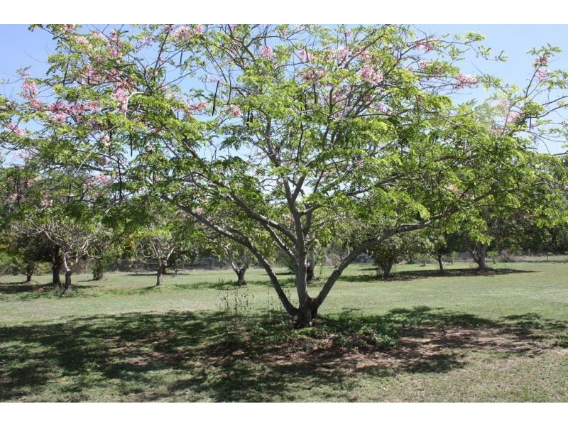Mareeba QLD 4880