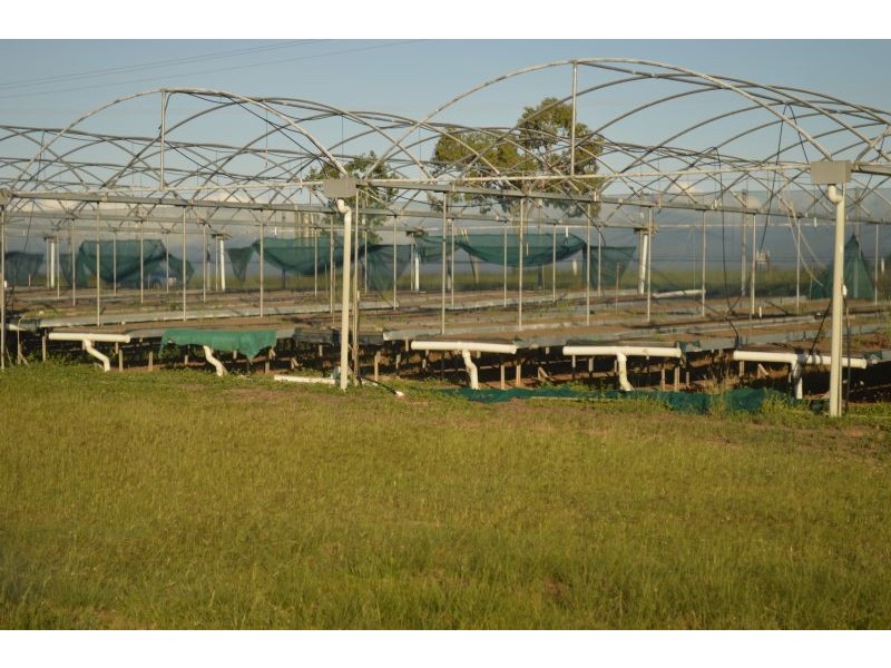 Lot 7 1032 Mareeba-Dimbulah Road, Mareeba QLD 4880