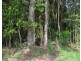 Kuranda QLD 4881