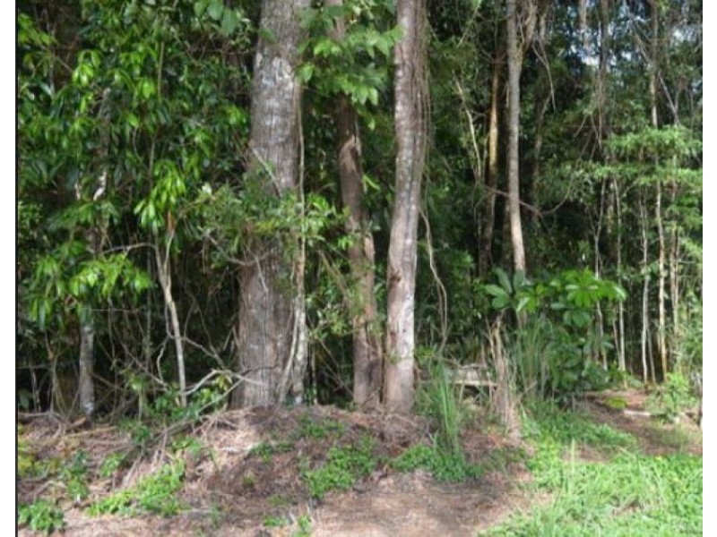 Kuranda QLD 4881