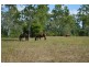 Mareeba QLD 4880