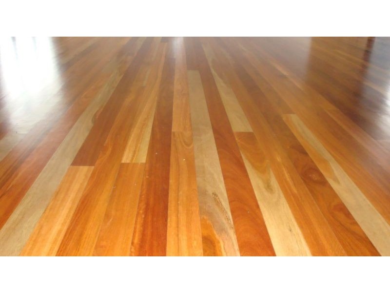 34 Jacana Close, Mareeba QLD 4880