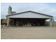 Mareeba QLD 4880
