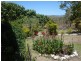Mutchilba QLD 4872