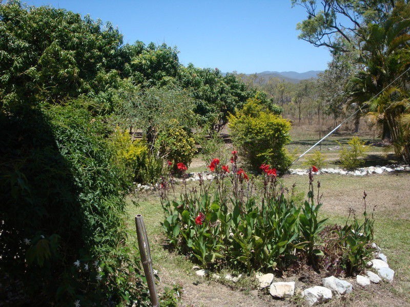 Mutchilba QLD 4872