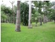 Cooktown QLD 4895