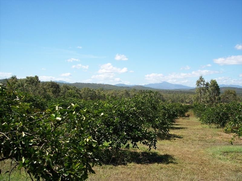 Biboohra QLD 4880