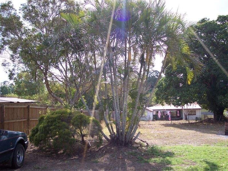 Mareeba QLD 4880