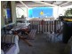 Mount Molloy QLD 4871