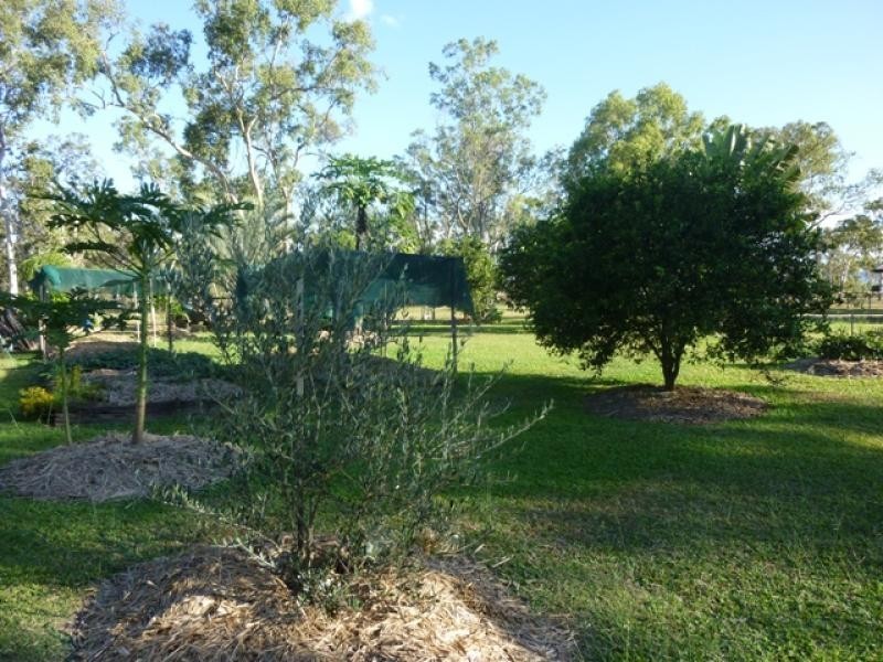 Mareeba QLD 4880