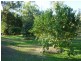 Mareeba QLD 4880