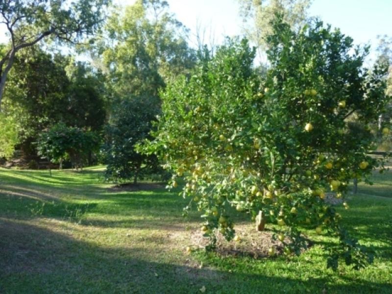 Mareeba QLD 4880