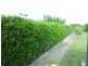 Mareeba QLD 4880