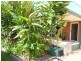 Mareeba QLD 4880