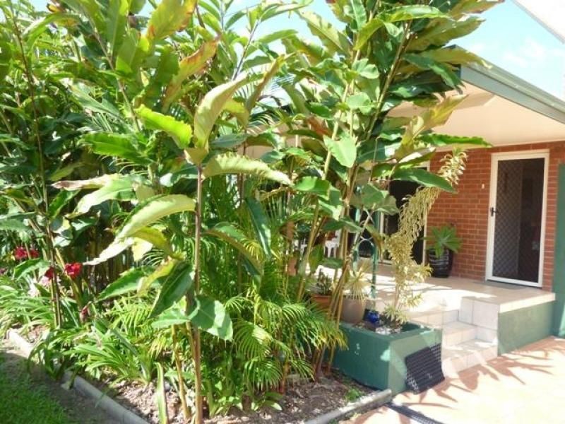 Mareeba QLD 4880