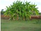Mareeba QLD 4880