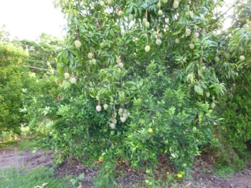 Mareeba QLD 4880