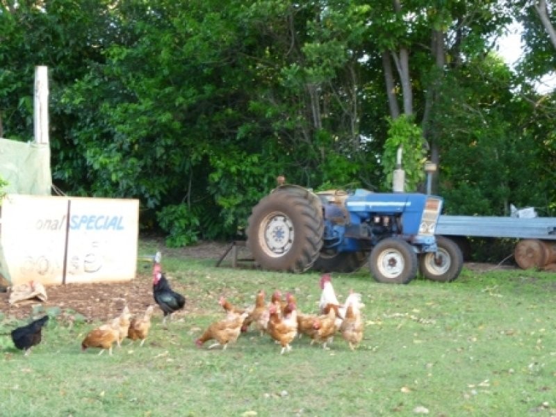 Mareeba QLD 4880