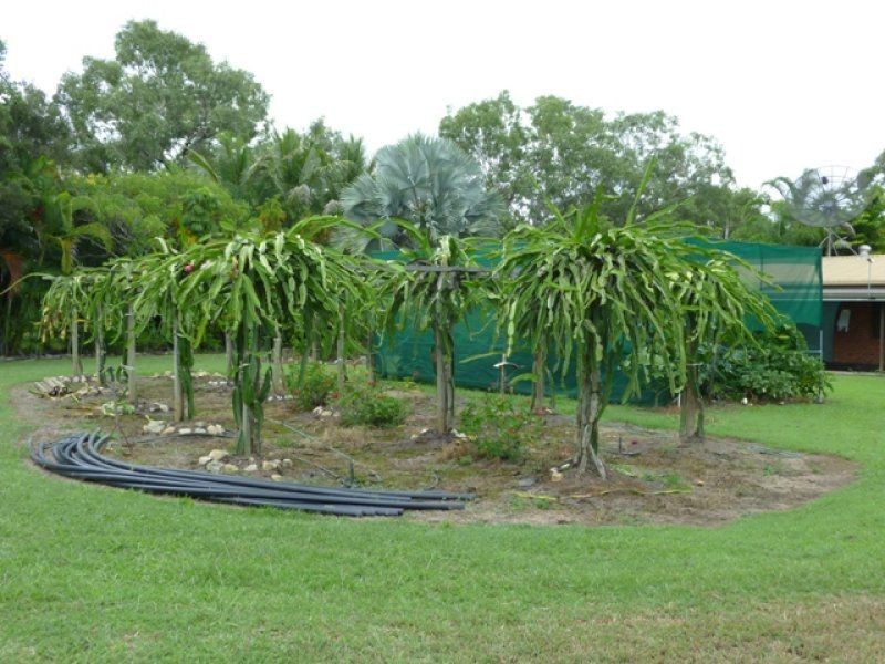 Mareeba QLD 4880