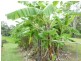 Mareeba QLD 4880