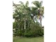 Mareeba QLD 4880