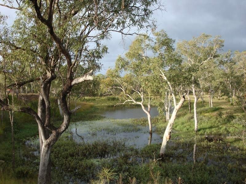 Mareeba QLD 4880