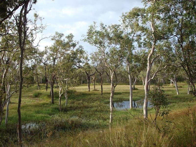 Mareeba QLD 4880