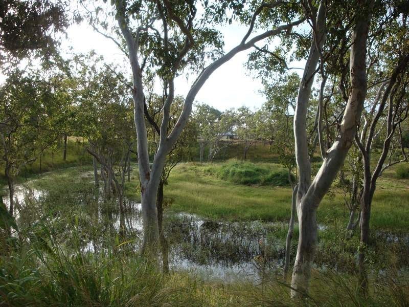 Mareeba QLD 4880