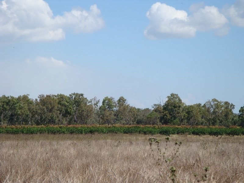 Mareeba QLD 4880