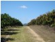 Mareeba QLD 4880