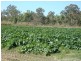 Mareeba QLD 4880