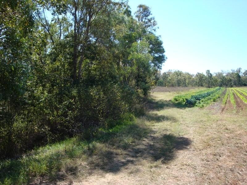 Mareeba QLD 4880