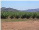 Mareeba QLD 4880