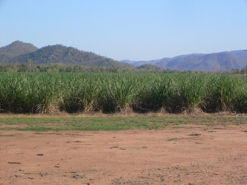 Mareeba QLD 4880