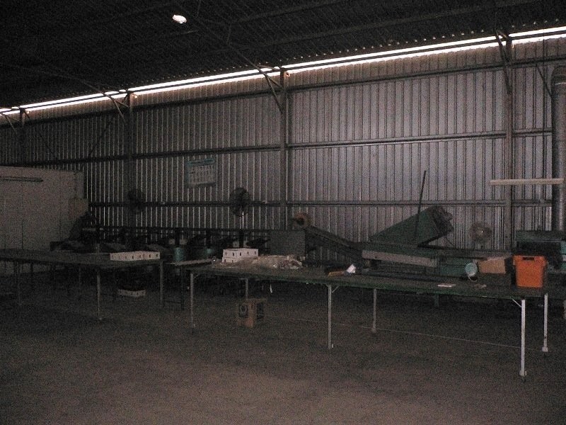 Mutchilba QLD 4872