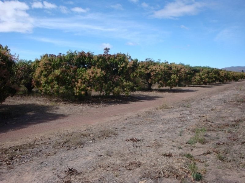 Mutchilba QLD 4872